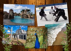 Collage of photography samples by David Brandt.